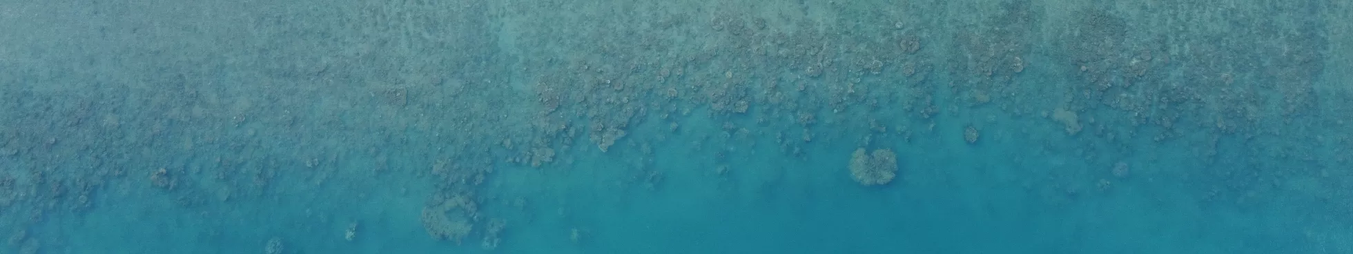 Selong bay from above